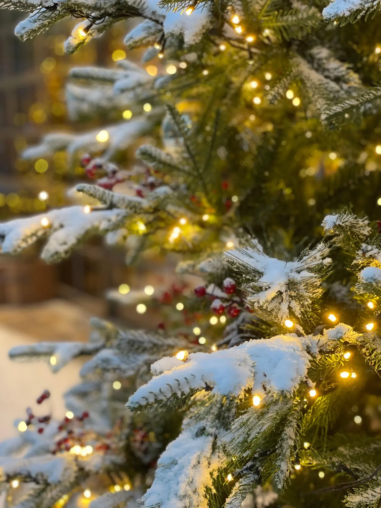 Restaurante con vistas mágicas a la Alhambra. Situado en el corazón del Albacín, disfruta de una experiencia inolvidable. Organizamos bodas y eventos